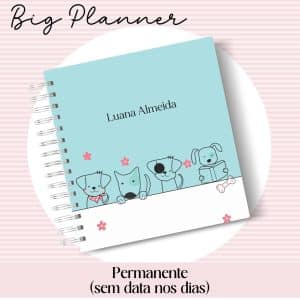 Big Planner Permanente - Capa 39